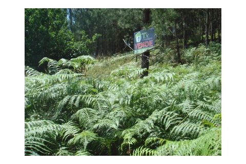 Helårsgrund i Moncao, Viana do Castelo, Moncao - € 35.000 | Ref: MNC0213T - foto 3