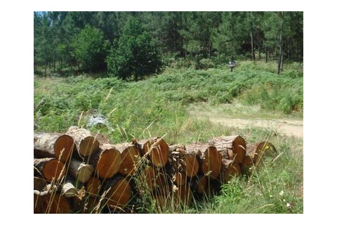 Helårsgrund i Moncao, Viana do Castelo, Moncao - € 35.000 | Ref: MNC0213T - foto 5