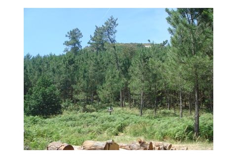 Helårsgrund i Moncao, Viana do Castelo, Moncao - € 35.000 | Ref: MNC0213T - foto 7