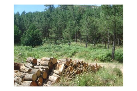 Helårsgrund i Moncao, Viana do Castelo, Moncao - € 35.000 | Ref: MNC0213T - foto 8