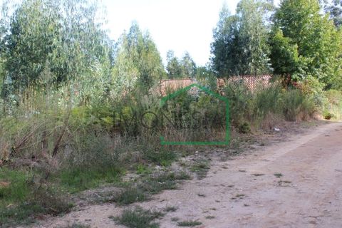 Helårsgrund i Venade e Azevedo, Viana do Castelo, Venade e Azevedo - € 45.000 | Ref: 1059 - foto 3