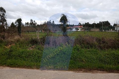 Helårsgrund i Aguada de Cima, Aveiro, Aguada de Cima - € 125.000 | Ref: TER_495 - foto 2
