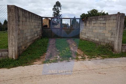 Helårsgrund i Aguada de Cima, Aveiro, Aguada de Cima - € 125.000 | Ref: TER_495 - foto 3