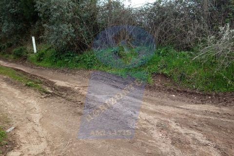 Helårsgrund i Aguada de Cima, Aveiro, Aguada de Cima - € 125.000 | Ref: TER_495 - foto 5