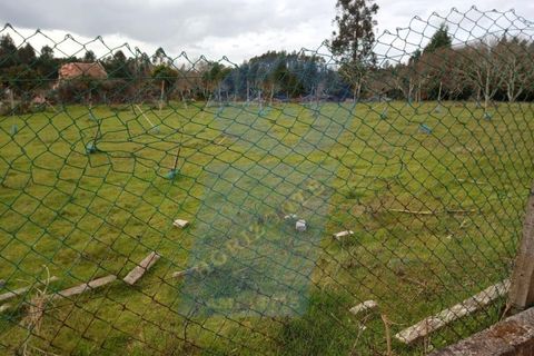 Helårsgrund i Aguada de Cima, Aveiro, Aguada de Cima - € 125.000 | Ref: TER_495 - foto 6