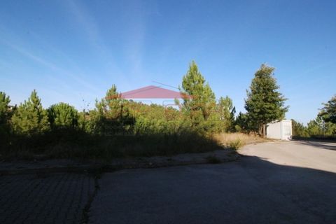 Helårsgrund i Abrantes, Santarem, Abrantes - € 40.700 | Ref: 210324 - foto 4