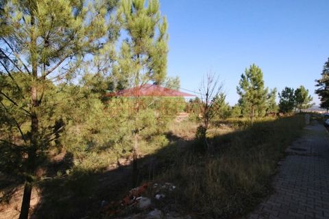 Helårsgrund i Abrantes, Santarem, Abrantes - € 40.700 | Ref: 210324 - foto 5