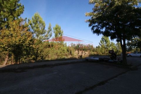 Helårsgrund i Abrantes, Santarem, Abrantes - € 40.700 | Ref: 210324 - foto 6