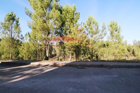 Helårsgrund i Abrantes, Santarem, Abrantes - € 40.700 | Ref: 210324 - foto 7