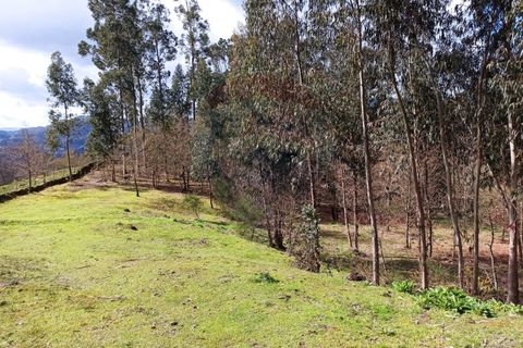Helårsgrund i Arcos de Valdevez, Viana do Castelo, Arcos de Valdevez - € 25.500 | Ref: 1040-131 - foto 1