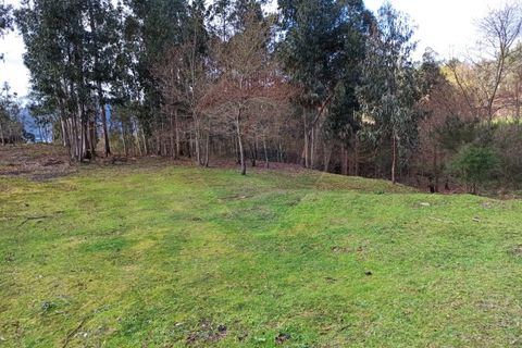 Helårsgrund i Arcos de Valdevez, Viana do Castelo, Arcos de Valdevez - € 25.500 | Ref: 1040-131 - foto 2
