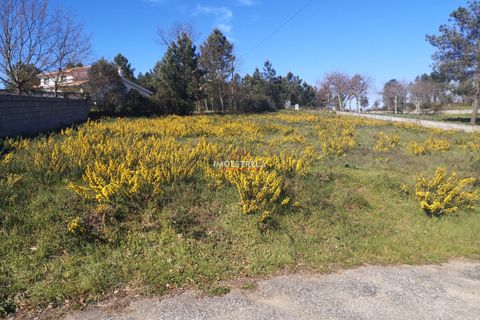 Helårsgrund i Seia, Guarda, Seia - € 70.000 | Ref: 21008 - foto 2