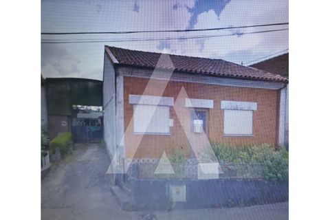 Terra a Fermentelos, Aveiro, Fermentelos - € 90.000 | Ref: 1020532/21 FR - foto 3