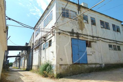 Terra a Cacem, Lisbon, Cacem - € 3.500.000 | Ref: LANE_6620_PS - foto 6