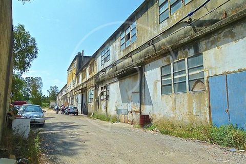 Terra a Cacem, Lisbon, Cacem - € 3.500.000 | Ref: LANE_6620_PS - foto 7