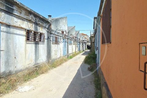 Terra a Cacem, Lisbon, Cacem - € 3.500.000 | Ref: LANE_6620_PS - foto 9