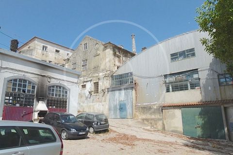 Terra a Cacem, Lisbon, Cacem - € 3.500.000 | Ref: LANE_6620_PS - foto 14