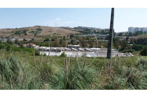 Terra a Cacem, Lisbon, Cacem - € 3.500.000 | Ref: LANE_6620_PS - foto 20
