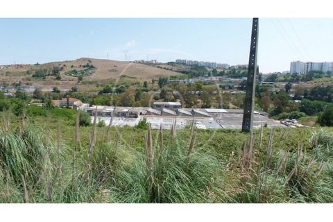 Terra a Cacem, Lisbon, Cacem - € 3.500.000 | Ref: LANE_6620_PS - foto 21