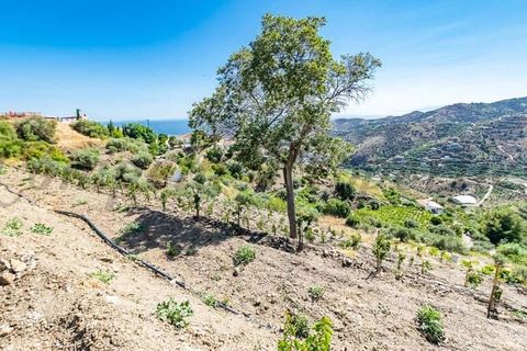 Helårsgrund i Torrox, Malaga, Torrox - € 150.000 | Ref: TP090 - foto 2
