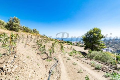 Helårsgrund i Torrox, Malaga, Torrox - € 150.000 | Ref: TP090 - foto 5