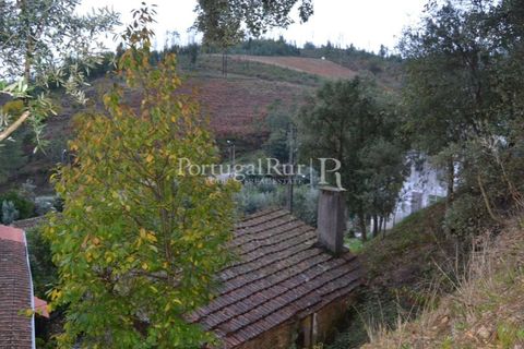 Masia a Proenca-a-Nova, Castelo Branco, Proenca-a-Nova - € 9.000 | Ref: 350 - foto 6