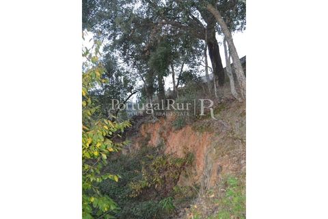 Masia a Proenca-a-Nova, Castelo Branco, Proenca-a-Nova - € 9.000 | Ref: 350 - foto 7