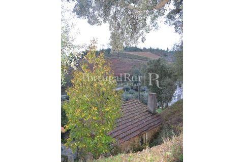 Masia a Proenca-a-Nova, Castelo Branco, Proenca-a-Nova - € 9.000 | Ref: 350 - foto 8