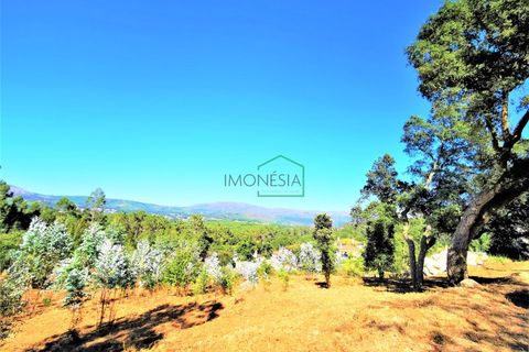 Helårsgrund i Viana do Castelo, Viana do Castelo, Viana do Castelo - € 350.000 | Ref: 1628 - foto 2