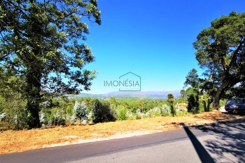 Helårsgrund i Viana do Castelo, Viana do Castelo, Viana do Castelo - € 350.000 | Ref: 1628 - foto 5