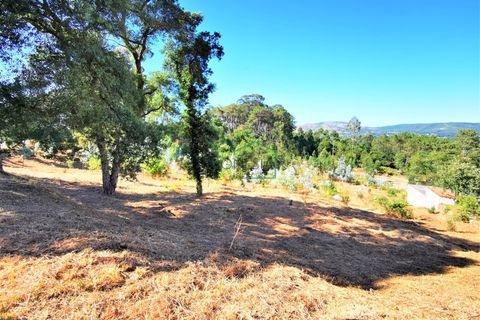 Helårsgrund i Viana do Castelo, Viana do Castelo, Viana do Castelo - € 350.000 | Ref: 1628 - foto 8