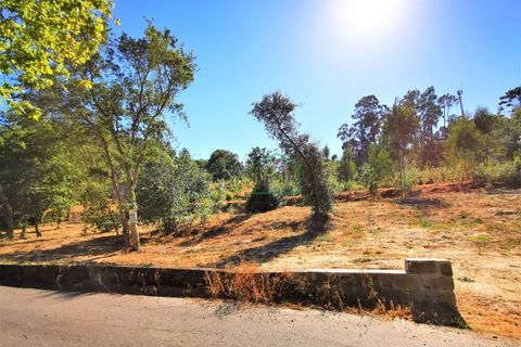 Helårsgrund i Viana do Castelo, Viana do Castelo, Viana do Castelo - € 350.000 | Ref: 1628 - foto 9