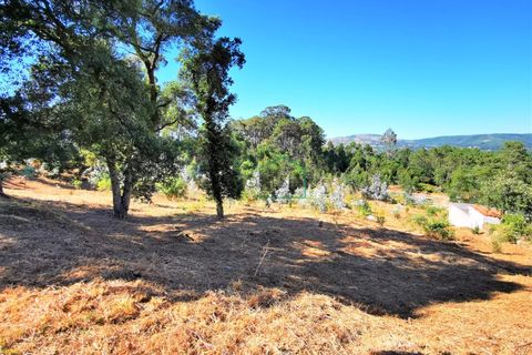 Helårsgrund i Viana do Castelo, Viana do Castelo, Viana do Castelo - € 350.000 | Ref: 1628 - foto 10