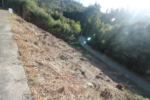 Helårsgrund i Caminha, Viana do Castelo, Caminha - € 47.500 | Ref: 1704 - foto 4