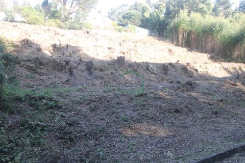 Helårsgrund i Caminha, Viana do Castelo, Caminha - € 47.500 | Ref: 1704 - foto 8