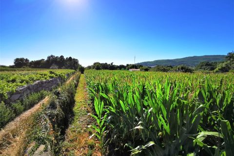 Helårsgrund i Vile, Viana do Castelo, Vile - € 120.000 | Ref: 1629 - foto 2