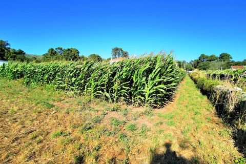 Helårsgrund i Vile, Viana do Castelo, Vile - € 120.000 | Ref: 1629 - foto 3