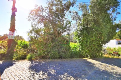 Helårsgrund i Vile, Viana do Castelo, Vile - € 120.000 | Ref: 1629 - foto 4
