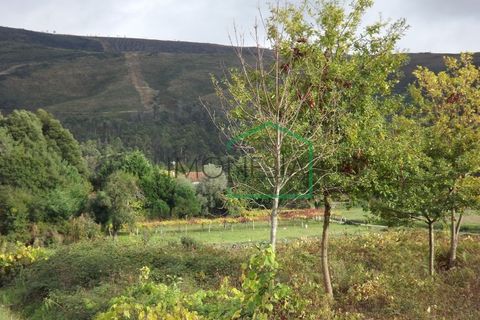 Helårsgrund i Venade e Azevedo, Viana do Castelo, Venade e Azevedo - € 32.000 | Ref: 1323 - foto 3