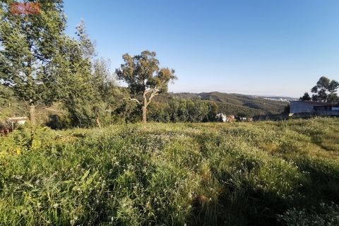 Helårsgrund i Coimbra, Coimbra, Coimbra - € 138.000 | Ref: 5117N - foto 7