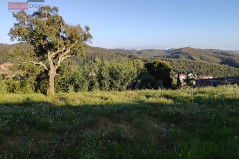 Helårsgrund i Coimbra, Coimbra, Coimbra - € 138.000 | Ref: 5117N - foto 5