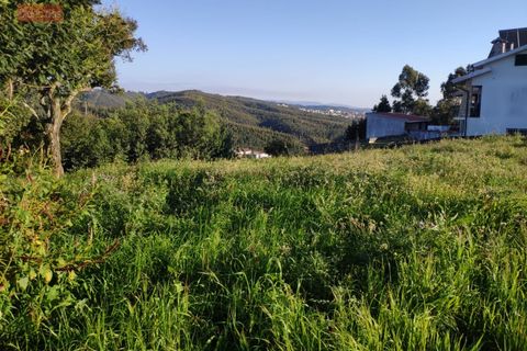 Helårsgrund i Coimbra, Coimbra, Coimbra - € 138.000 | Ref: 5117N - foto 8