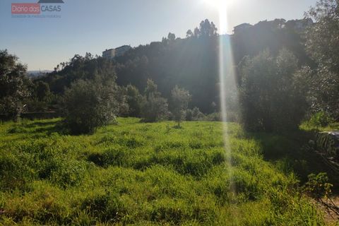 Helårsgrund i Coimbra, Coimbra, Coimbra - € 86.500 | Ref: 5116N - foto 2