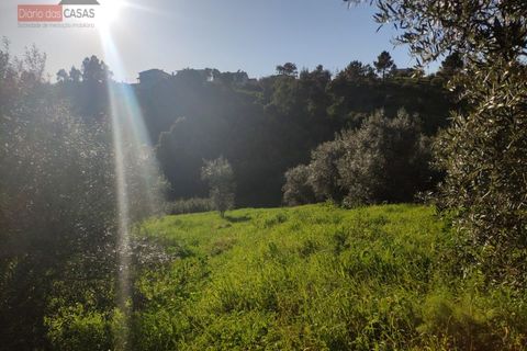 Helårsgrund i Coimbra, Coimbra, Coimbra - € 86.500 | Ref: 5116N - foto 3