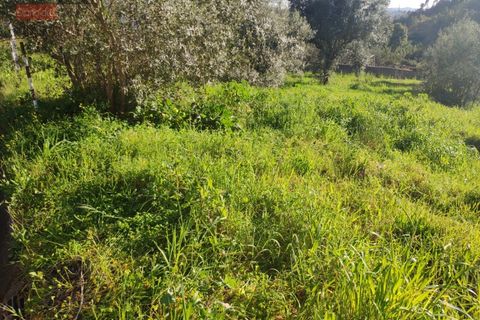 Helårsgrund i Coimbra, Coimbra, Coimbra - € 86.500 | Ref: 5116N - foto 4