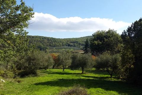 Landejendom i Baschi, Terni, Baschi - € 250.000 | Ref: CBC01C - foto 5