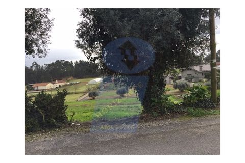 Helårsgrund i Oliveira do Bairro, Aveiro, Oliveira do Bairro - € 90.000 | Ref: TER_558 - foto 3