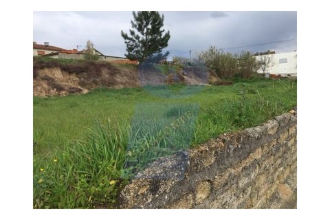 Helårsgrund i Oliveira do Bairro, Aveiro, Oliveira do Bairro - € 90.000 | Ref: TER_558 - foto 4