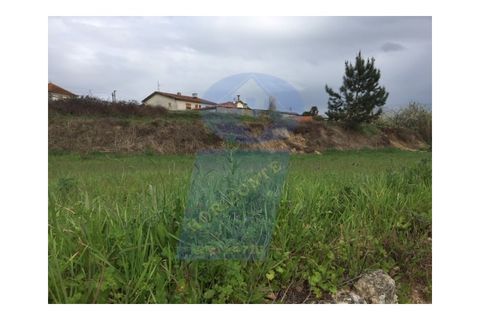 Helårsgrund i Oliveira do Bairro, Aveiro, Oliveira do Bairro - € 90.000 | Ref: TER_558 - foto 5