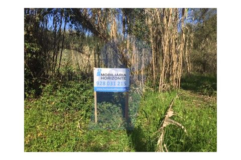 Helårsgrund i Anadia, Aveiro, Anadia - € 38.000 | Ref: TER_557 - foto 2
